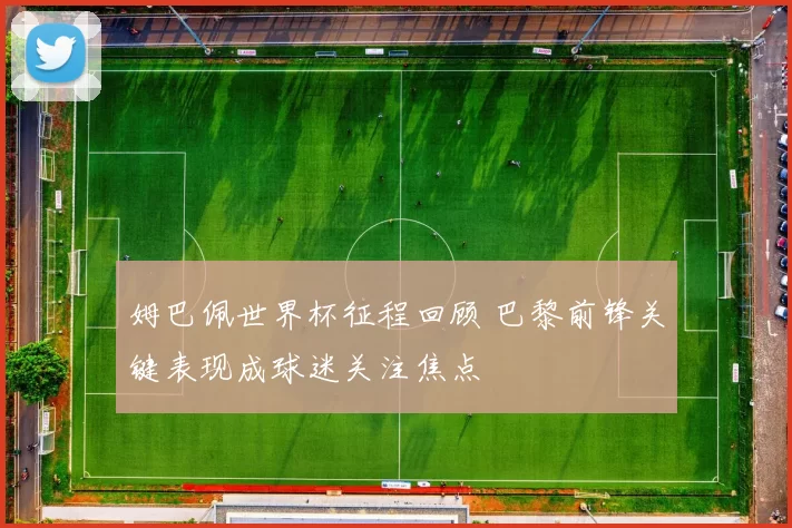姆巴佩世界杯征程回顾 巴黎前锋关键表现成球迷关注焦点