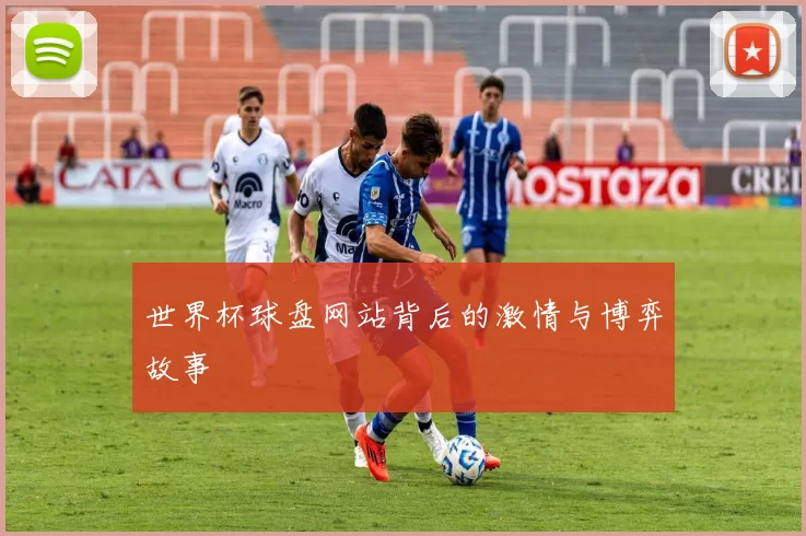 世界杯球盘网站背后的激情与博弈故事