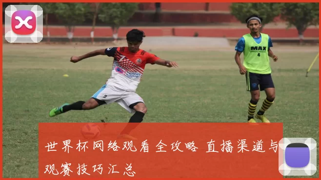 世界杯网络观看全攻略 直播渠道与观赛技巧汇总