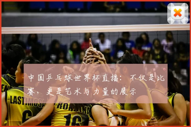 中国乒乓球世界杯直播：不仅是比赛，更是艺术与力量的展示