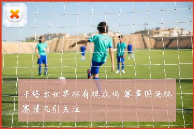 卡塔尔世界杯有观众吗 赛事现场观赛情况引关注