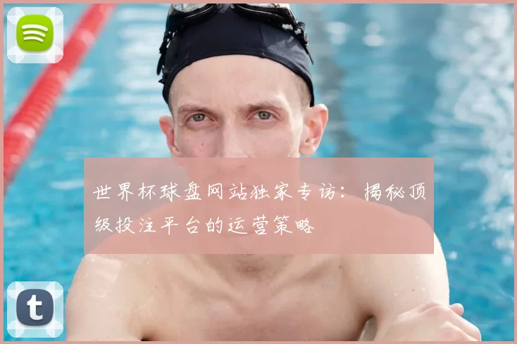 世界杯球盘网站独家专访：揭秘顶级投注平台的运营策略