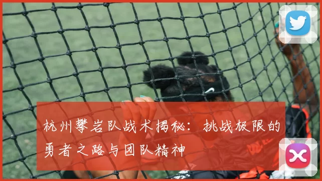 杭州攀岩队战术揭秘：挑战极限的勇者之路与团队精神