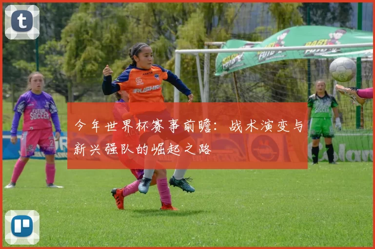 今年世界杯赛事前瞻:战术演变与新兴强队的崛起之路