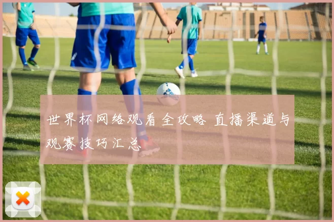 世界杯网络观看全攻略 直播渠道与观赛技巧汇总
