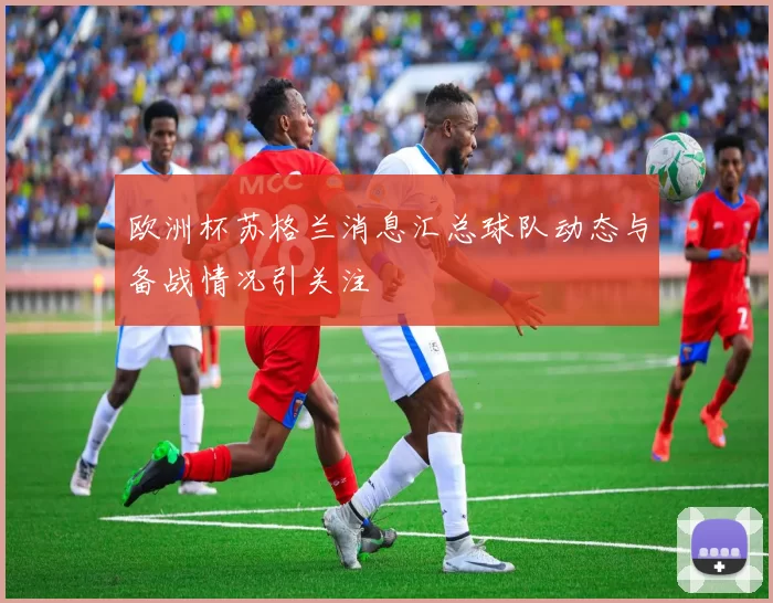 欧洲杯苏格兰消息汇总球队动态与备战情况引关注