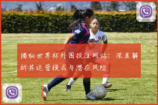 揭秘世界杯外围投注网站：深度解析其运营模式与潜在风险
