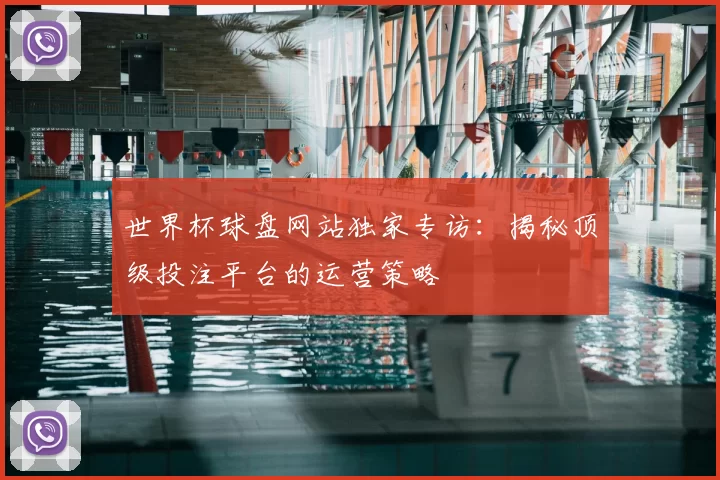 世界杯球盘网站独家专访：揭秘顶级投注平台的运营策略